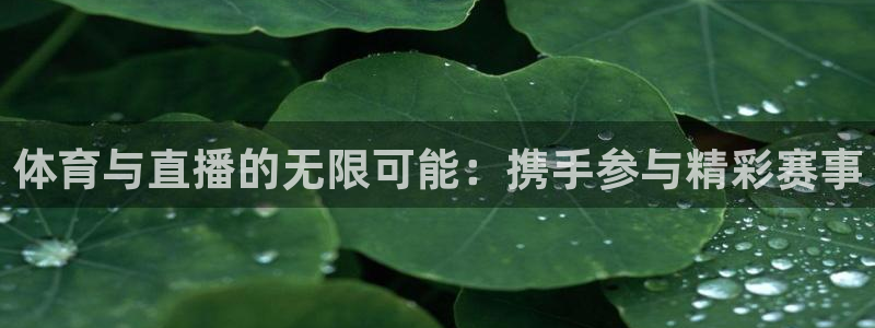 就要直播nba看球吧：体育与直播的无限可能：携手参与精彩赛事