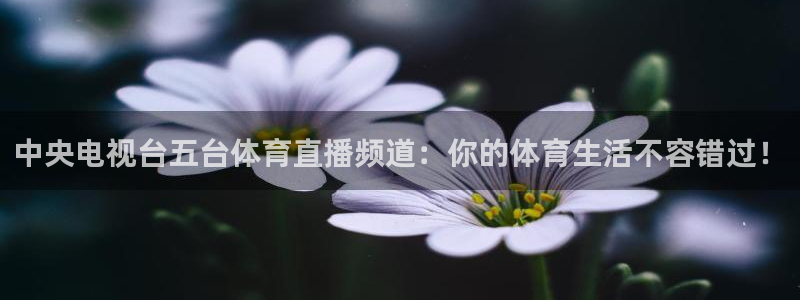 看球吧下载：中央电视台五台体育直播频道：你的体育生活不容错过！