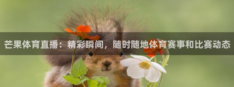 看球吧直播nba：芒果体育直播：精彩瞬间，随时随地体育赛事和比赛动态