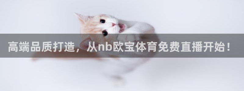 看球吧免费直播：高端品质打造，从nb欧宝体育免费直播开始！