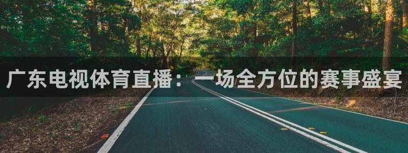 零点直播吧看球吧：广东电视体育直播：一场全方位的赛事盛宴