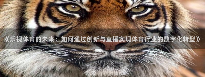 看球吧：《乐视体育的未来：如何通过创新与直播实现体育行业的数字化转型》