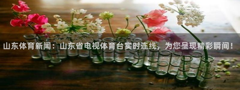 看球吧直播nba：山东体育新闻：山东省电视体育台实时连线，为您呈现精彩瞬间！