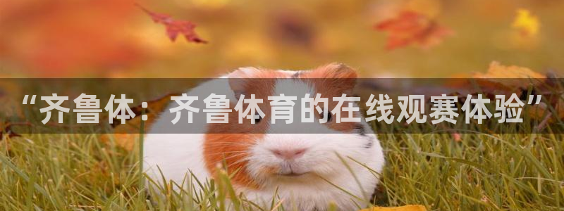 nba直播 看球吧：“齐鲁体：齐鲁体育的在线观赛体验”