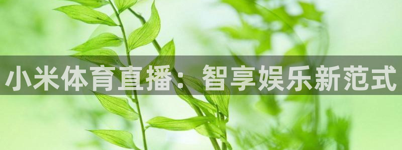 88看球吧直播nba