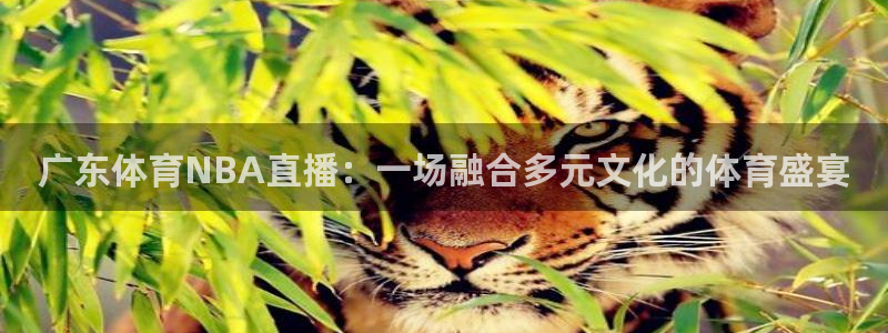 看球吧体育直播