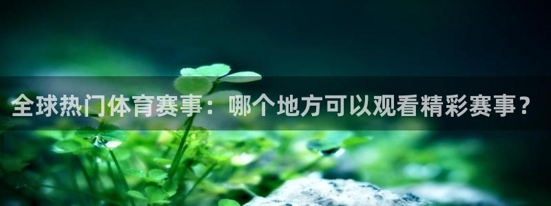 看球吧体育直播app