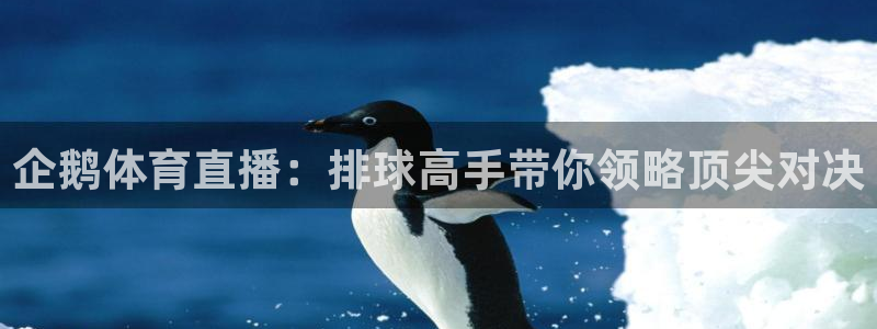 看球吧直播下载