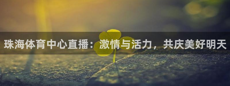 看球吧中超直播