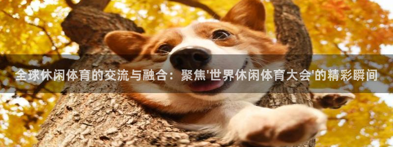 nba在线直播观看直播看球吧：全球休闲体育的交流与融合：聚焦\'世界休闲体育大会\'的精彩瞬间